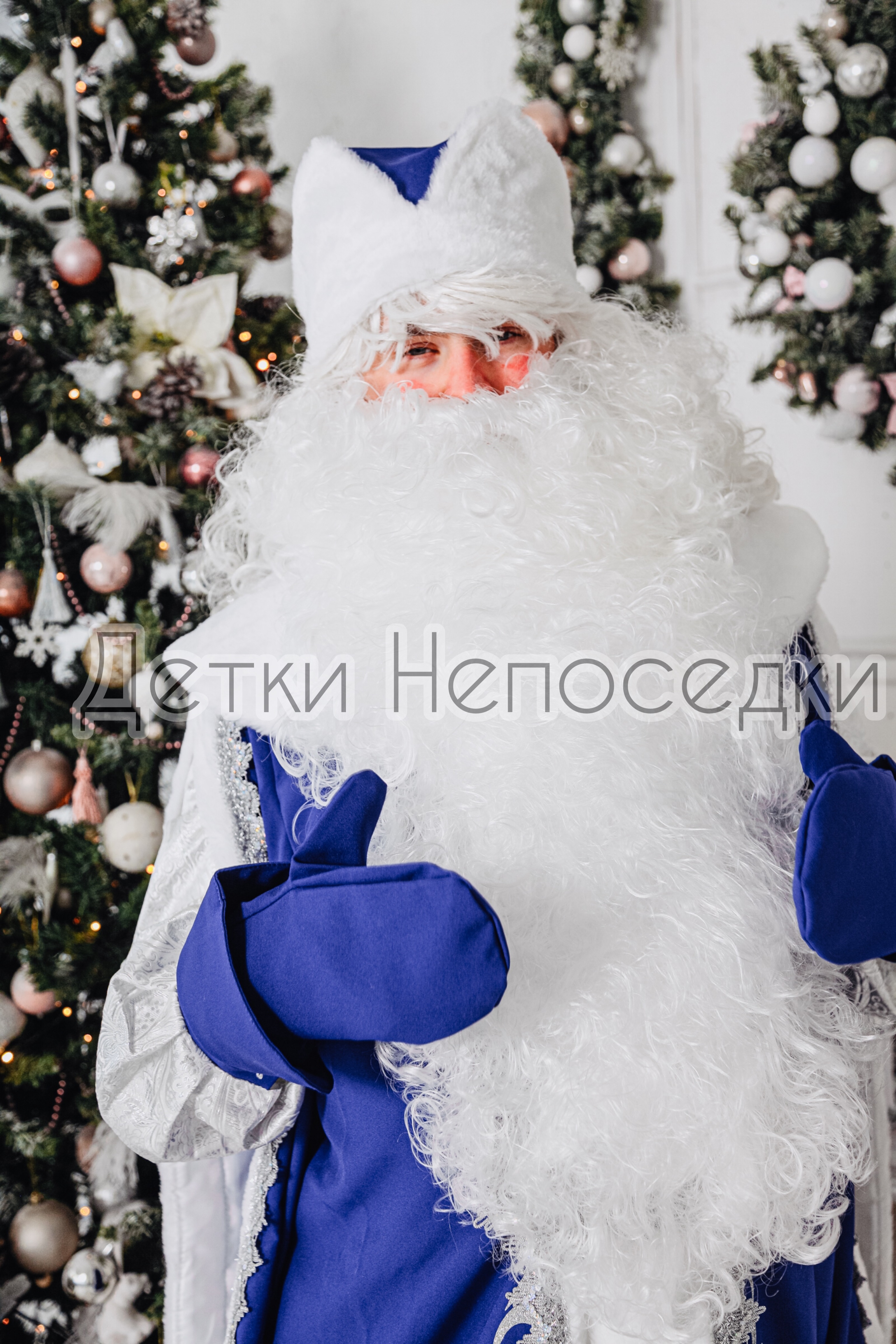 Аниматоры Дед Мороз и Снегурочка на выезд